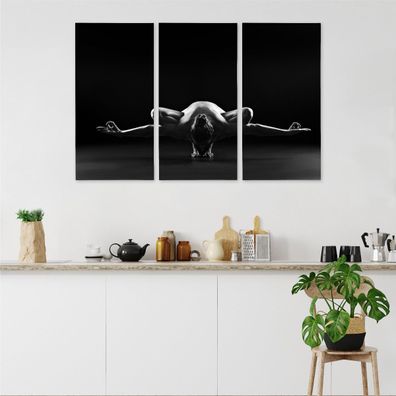 Leinwand Bilder SET 3-Teilig FRAU die Yoga praktiziert Wandbilder xxl 6157
