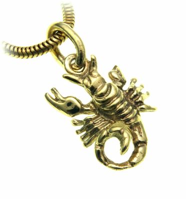 Anhänger Sternzeichen Skorpion Sterling Silber 925 Tierkreiszeichen Horoskop