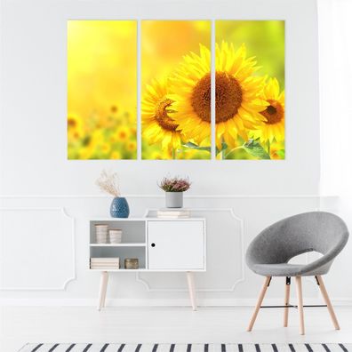 Leinwand Bilder SET 3-Teilig Ein Feld von Sonnenblumen Natur 3D Wandbilder 4229
