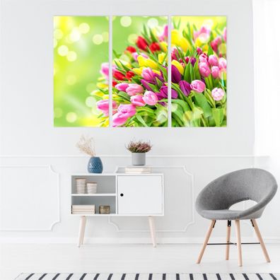 Leinwand Bilder SET 3-Teilig BUNTE Blumen der Tulpen 3D Wandbilder xxl 4244