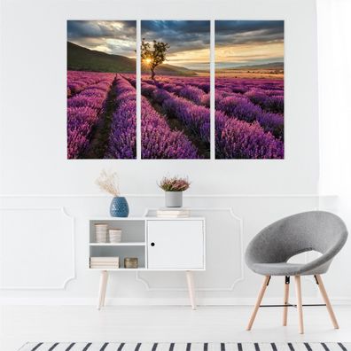 Leinwand Bilder SET 3-Teilig Lavendel Feld mit Sonne 3D Dekor Wandbilder 4269