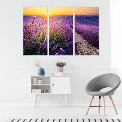 Leinwand Bilder SET 3-Teilig Lavendel Sonnenuntergang-landschaft Wandbilder 4274
