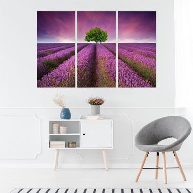 Leinwand Bilder SET 3-Teilig Lavendel Feld 3D Dekor Baum Wandbilder xxl 4284