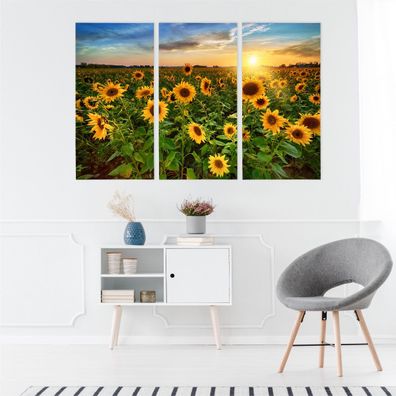 Leinwand Bilder SET 3-Teilig Sonnenblumen Sonnenuntergang 3D Wandbilder xxl 4294
