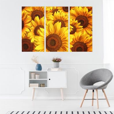 Leinwand Bilder SET 3-Teilig Natur 3D Sonnenblume BLUMEN Wandbilder xxl 4309