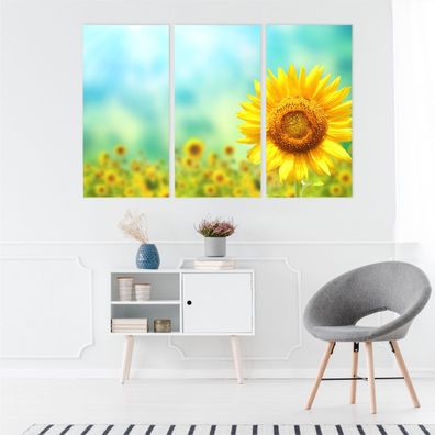 Leinwand Bilder SET 3-Teilig Natur 3D Sonnenblume BLUMEN Wandbilder xxl 4319