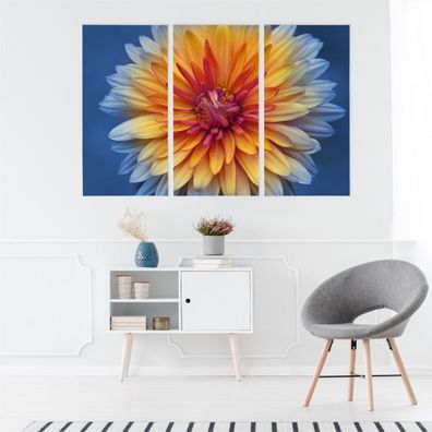Leinwand Bilder SET 3-Teilig Chrysantheme Blumen Makro 3D Wandbilder xxl 4364
