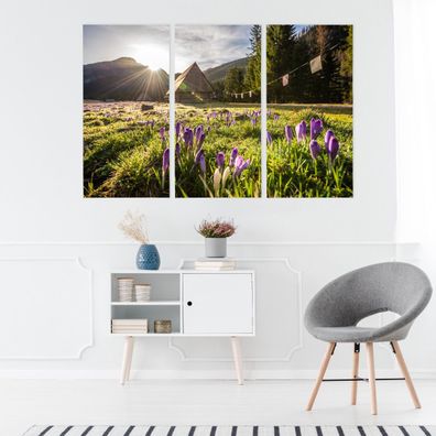 Leinwand Bilder SET 3-Teilig Haus in den Bergen Blumen 3D-Ansicht 4550