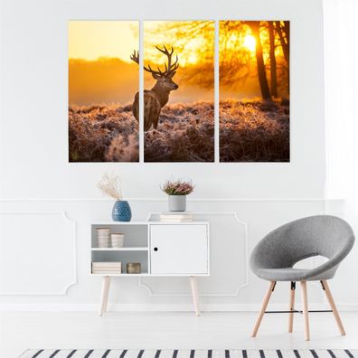 Leinwand Bilder SET 3-Teilig HIRSCH Sonnenuntergang Wald 3D Wandbilder xxl 4639