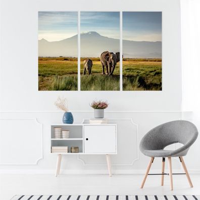 Leinwand Bilder SET 3-Teilig Elefanten Mount Kilimanjaro 3D Wandbilder xxl 4969