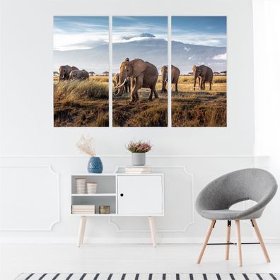Leinwand Bilder SET 3-Teilig Elefantenherde Kilimandscharo 3D Wandbilder 4974
