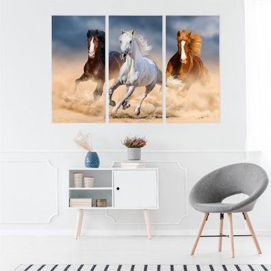 Leinwand Bilder SET 3-Teilig Pferde im Galopp in der Wueste Wandbilder xxl 5014