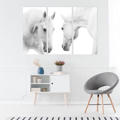 Leinwand Bilder SET 3-Teilig Porträt Pferde Tiere 3D Wandbilder xxl 5023