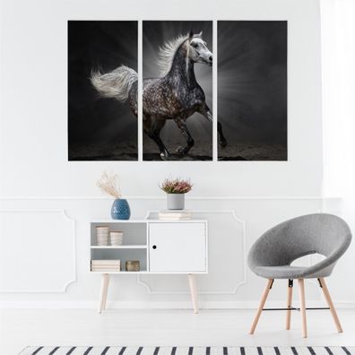 Leinwand Bilder SET 3-Teilig Arabisches Pferd im Galopp Natur Wandbilder 5070