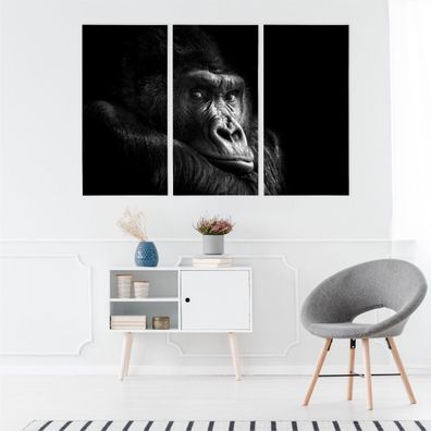 Leinwand Bilder SET 3-Teilig Gorilla Porträt Tiere Dekor Natur Wandbilder xxl 5072