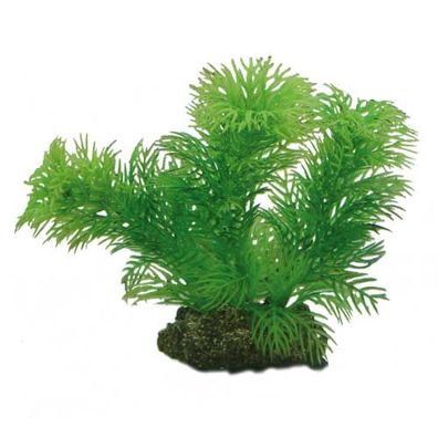 Hobby Egeria 13 cm Kunststoffpflanze | pflanze, deko, dekoration, aquarieneinrich