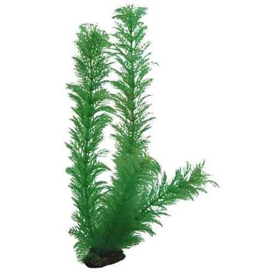 Hobby Egeria 34 cm Kunststoffpflanze | pflanze, deko, dekoration, aquarieneinrich