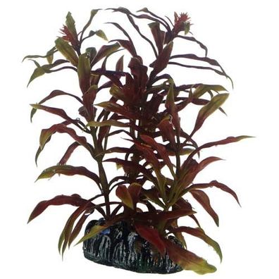 Hobby Nesaea 13 cm Kunststoffpflanze | pflanze, deko, dekoration, aquarieneinrich