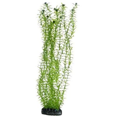 Hobby Lagarosiphon 34 cm Kunststoffpflanze | pflanze, deko, dekoration, aquariene