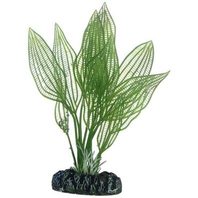Hobby Aponogeton 16 cm Kunststoffpflanze | pflanze, deko, dekoration, aquarienein
