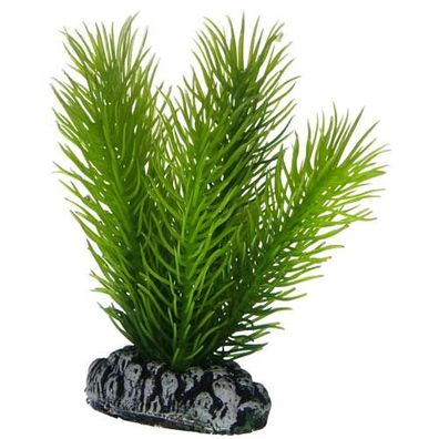 Hobby Mayaca 7 cm Kunststoffpflanze | pflanze, deko, dekoration, aquarieneinricht