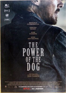 The Power of the Dog - Original Kinoplakat A1 - Benedict Cumberbatch - Filmposter