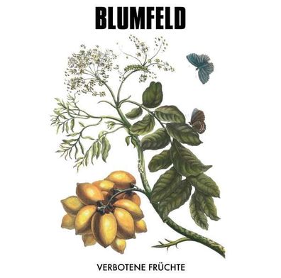 Blumfeld: Verbotene Früchte (180g) (New Vinyl Edition) - Blumfeld - (Vinyl / Pop ...