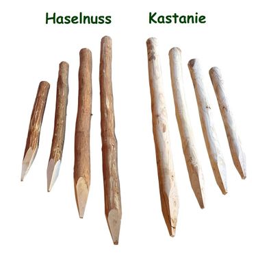 Zaunpfosten Haselnuss oder Kastanie - Holzpfosten geschält und angespitzt Kastanie 12