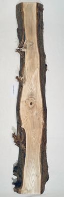 Walnussholz Platte 12 - Massive Holzplatte aus Walnuss Holz Bohlen