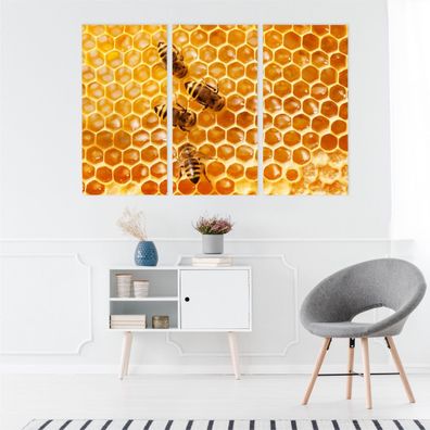 Leinwand Bilder SET 3-Teilig Bienen Waben Makro Wandbilder xxl 3988