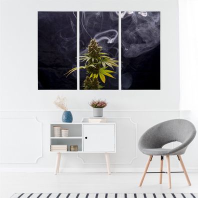 Leinwand Bilder SET 3-Teilig Hanfblaetter CBD Rauchdekor Wandbilder xxl 4068