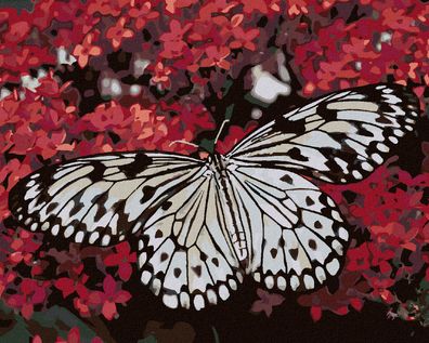 Malen nach Zahlen - Weisser Schmetterling UND ROTE BLUMEN