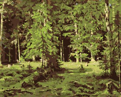 Malen nach Zahlen - WALD (IVAN Shishkin)