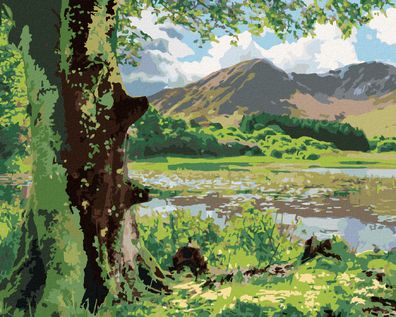 Malen nach Zahlen - NATUR UND BERGE, IRLAND (TED DAVIS)