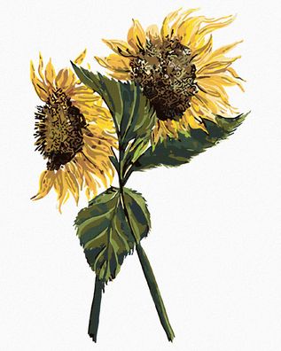 Malen nach Zahlen - Sonnenblumen (ALEXANDRIA Gilbert)