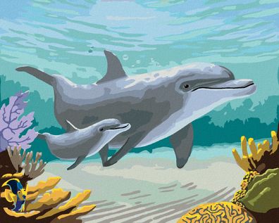 Malen nach Zahlen - Delfine UND Korallen (ROBERT Johnson)
