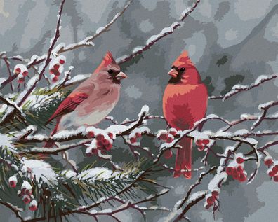 Malen nach Zahlen - Kardinalvogel AUF EINEM Verschneiten ZWEIG IM WINTER (ABRAHAM HUN