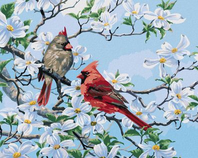 Malen nach Zahlen - Kardinalvogel AUF EINEM Blühenden ZWEIG IM Frühling (ABRAHAM HUNT