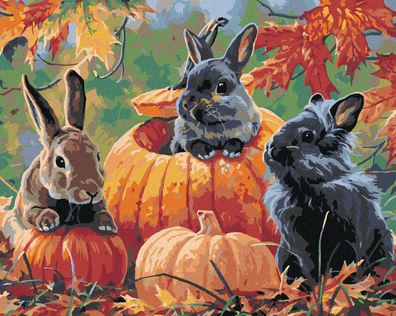Malen nach Zahlen - Kaninchen, Kürbisse UND Herbstblätter (ABRAHAM HUNTER)