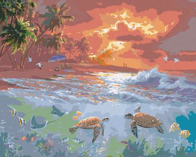 Malen nach Zahlen - Schildkröten, STRAND UND Sonnenuntergang (ABRAHAM HUNTER)