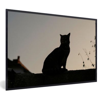 Poster - 30x20 cm - Katze - Dunkelheit - Zaun