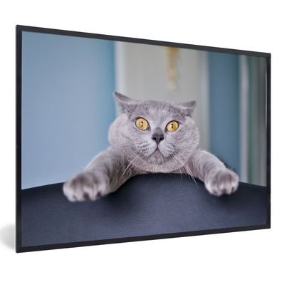 Poster - 90x60 cm - Katze - Angst - Stuhl