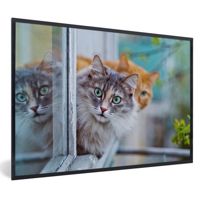 Poster - 90x60 cm - Katze - Fenster - Katzen