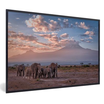 Poster - 90x60 cm - Wandernde Elefanten