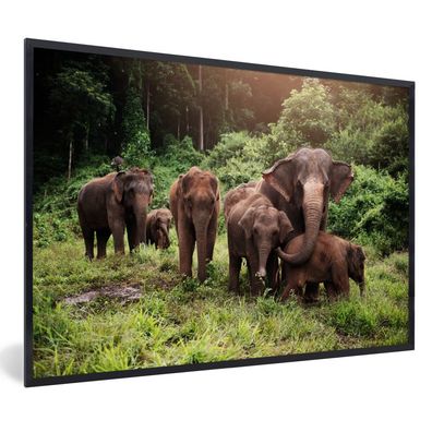 Poster - 90x60 cm - Elefanten aus dem Wald