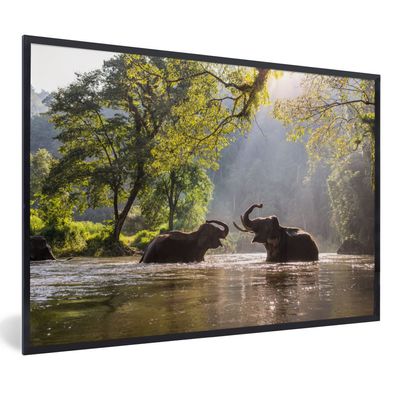 Poster - 90x60 cm - Spielende Elefanten