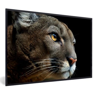 Poster - 60x40 cm - Cougar - Augen - Schwarz