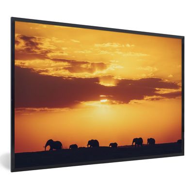 Poster - 90x60 cm - Elefantenherde bei Sonnenuntergang