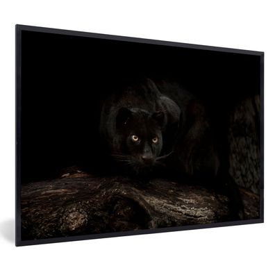 Poster - 120x80 cm - Panther - Wald - Augen