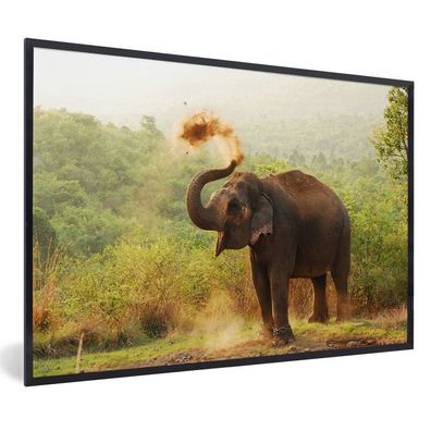 Poster - 60x40 cm - Reinigung Elefant